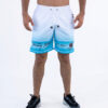 Pantaloneta Tommy Degradé Azul 1 PANTALONETA TOMMY HILFIGER