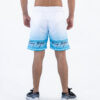 Pantaloneta Tommy Degradé Azul 3 PANTALONETA TOMMY HILFIGER